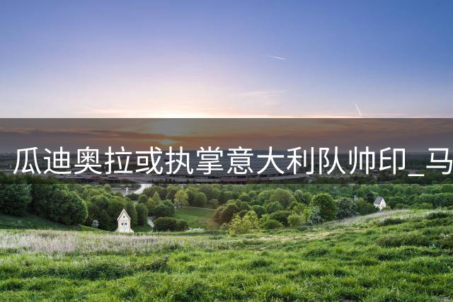 瓜迪奥拉或执掌意大利队帅印 马尔蒂尼飞赴巴塞罗那展开关键谈判